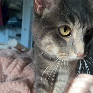 Meet your Posher, Emma